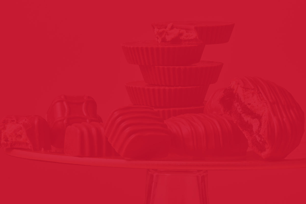 Fundraising dashboard login